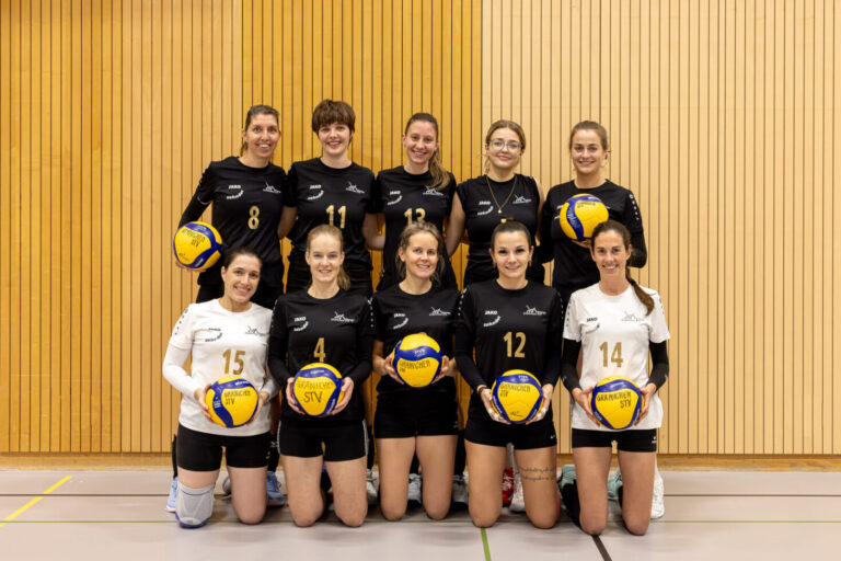 Volleyball 2. Liga